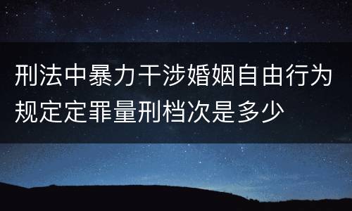 刑法中暴力干涉婚姻自由行为规定定罪量刑档次是多少