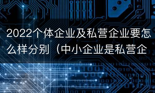 2022个体企业及私营企业要怎么样分别（中小企业是私营企业吗）