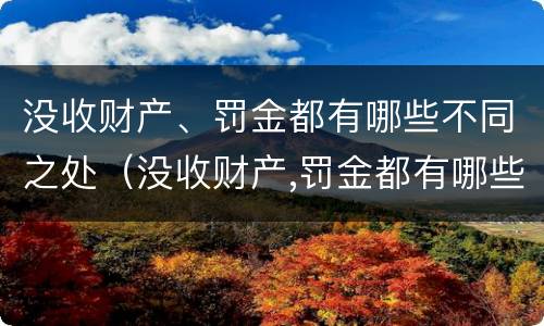 没收财产、罚金都有哪些不同之处（没收财产,罚金都有哪些不同之处呢）