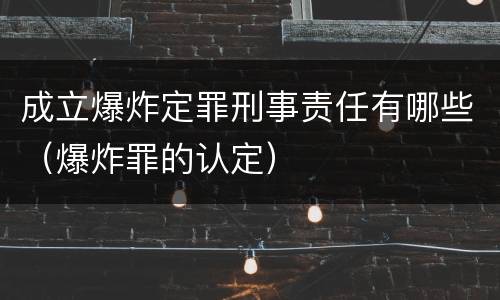 成立爆炸定罪刑事责任有哪些（爆炸罪的认定）