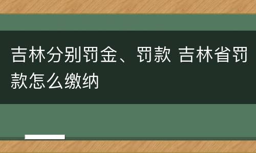吉林分别罚金、罚款 吉林省罚款怎么缴纳