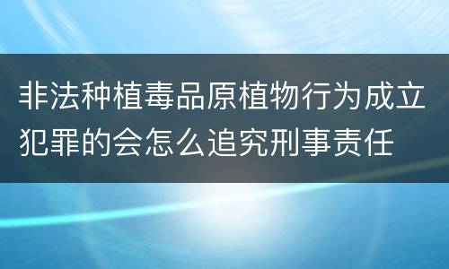 非法种植毒品原植物行为成立犯罪的会怎么追究刑事责任