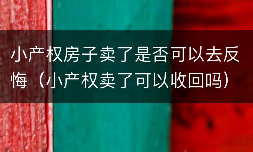 小产权房子卖了是否可以去反悔（小产权卖了可以收回吗）