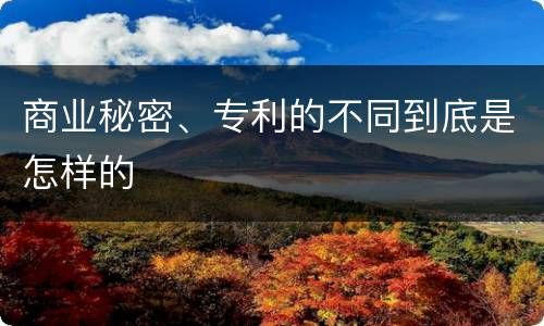 商业秘密、专利的不同到底是怎样的
