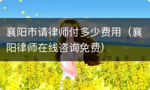 襄阳市请律师付多少费用（襄阳律师在线咨询免费）