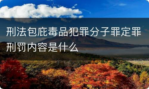 刑法包庇毒品犯罪分子罪定罪刑罚内容是什么