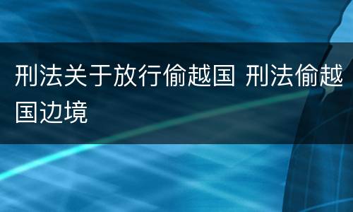 刑法关于放行偷越国 刑法偷越国边境