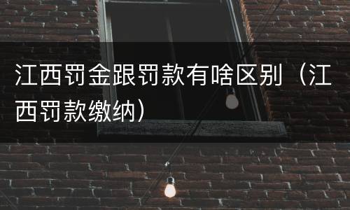 江西罚金跟罚款有啥区别（江西罚款缴纳）