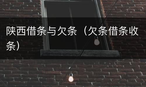 陕西借条与欠条（欠条借条收条）