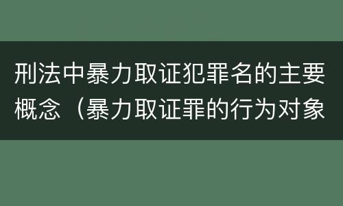 刑法中暴力取证犯罪名的主要概念（暴力取证罪的行为对象是）