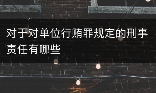 对于对单位行贿罪规定的刑事责任有哪些