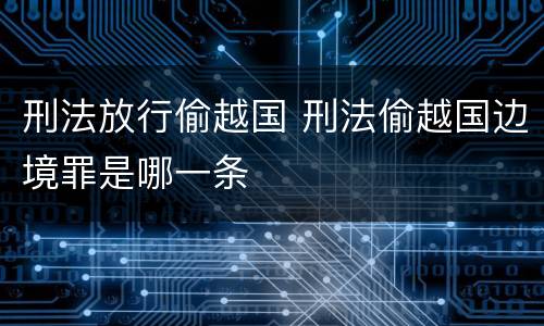 刑法放行偷越国 刑法偷越国边境罪是哪一条