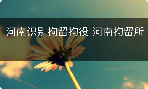河南识别拘留拘役 河南拘留所