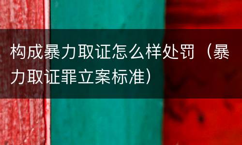 构成暴力取证怎么样处罚（暴力取证罪立案标准）