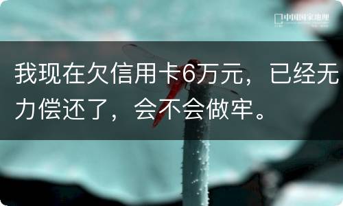 我现在欠信用卡6万元，已经无力偿还了，会不会做牢。