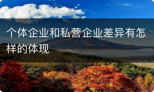 个体企业和私营企业差异有怎样的体现