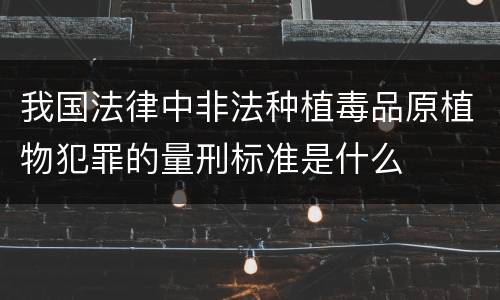 我国法律中非法种植毒品原植物犯罪的量刑标准是什么
