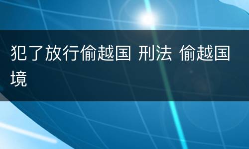 犯了放行偷越国 刑法 偷越国境