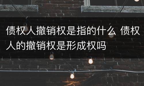 债权人撤销权是指的什么 债权人的撤销权是形成权吗