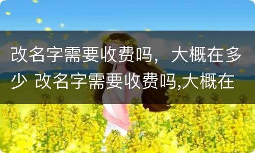 改名字需要收费吗，大概在多少 改名字需要收费吗,大概在多少天内