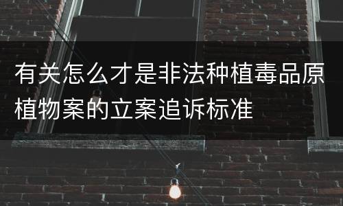 有关怎么才是非法种植毒品原植物案的立案追诉标准