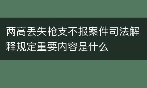 两高丢失枪支不报案件司法解释规定重要内容是什么