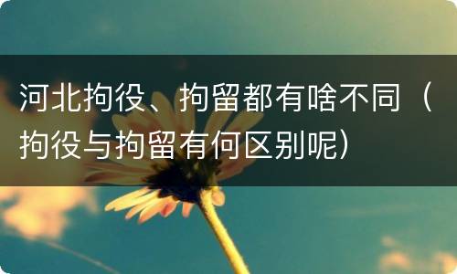 河北拘役、拘留都有啥不同（拘役与拘留有何区别呢）