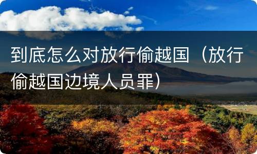 到底怎么对放行偷越国（放行偷越国边境人员罪）