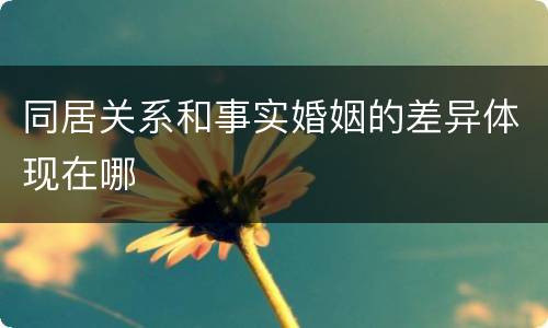 同居关系和事实婚姻的差异体现在哪