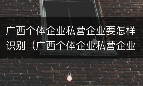 广西个体企业私营企业要怎样识别（广西个体企业私营企业要怎样识别企业名称）