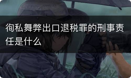 徇私舞弊出口退税罪的刑事责任是什么