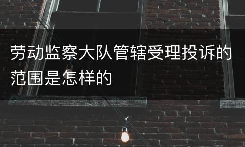 劳动监察大队管辖受理投诉的范围是怎样的