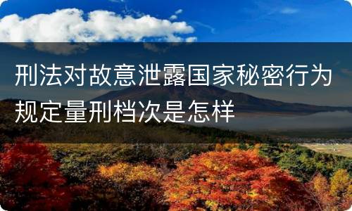 刑法对故意泄露国家秘密行为规定量刑档次是怎样