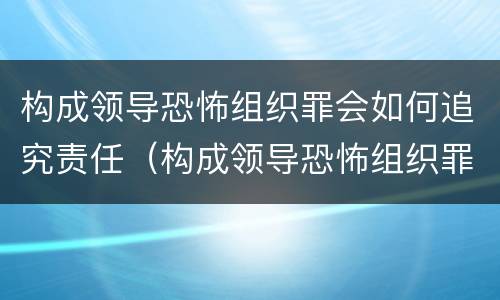 构成领导恐怖组织罪会如何追究责任（构成领导恐怖组织罪会如何追究责任呢）