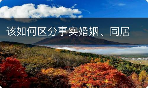 该如何区分事实婚姻、同居