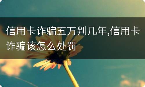 信用卡诈骗五万判几年,信用卡诈骗该怎么处罚