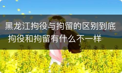 黑龙江拘役与拘留的区别到底 拘役和拘留有什么不一样