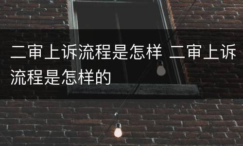 二审上诉流程是怎样 二审上诉流程是怎样的