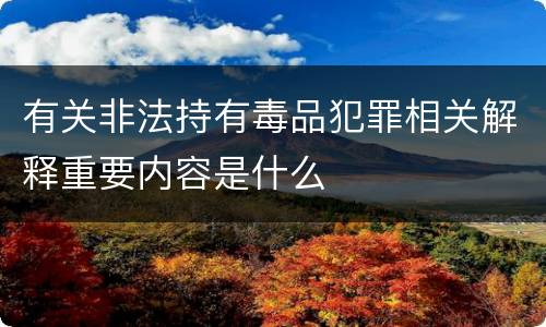 有关非法持有毒品犯罪相关解释重要内容是什么