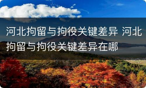 河北拘留与拘役关键差异 河北拘留与拘役关键差异在哪