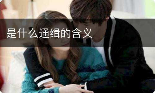 是什么通缉的含义