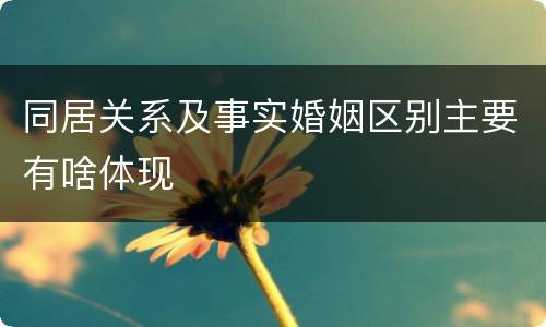 同居关系及事实婚姻区别主要有啥体现