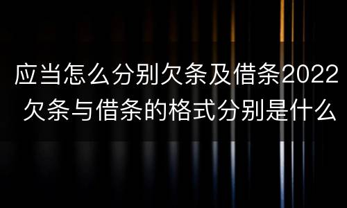 应当怎么分别欠条及借条2022 欠条与借条的格式分别是什么