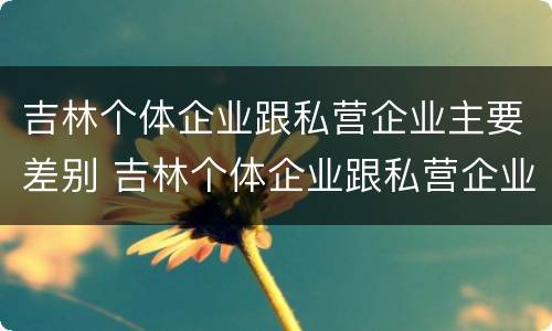 吉林个体企业跟私营企业主要差别 吉林个体企业跟私营企业主要差别在哪