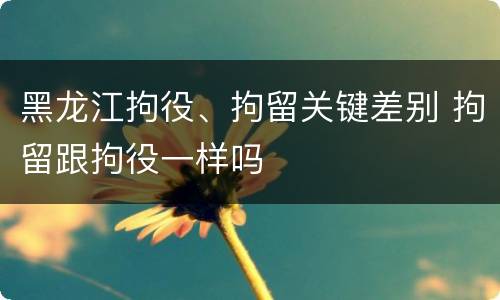 黑龙江拘役、拘留关键差别 拘留跟拘役一样吗