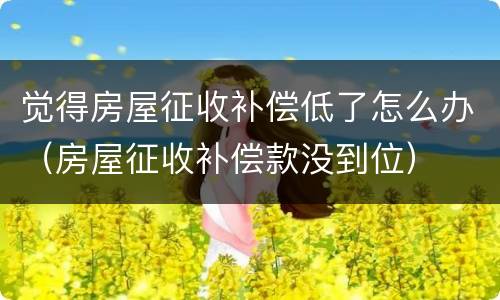 觉得房屋征收补偿低了怎么办（房屋征收补偿款没到位）
