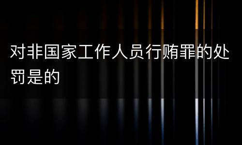对非国家工作人员行贿罪的处罚是的