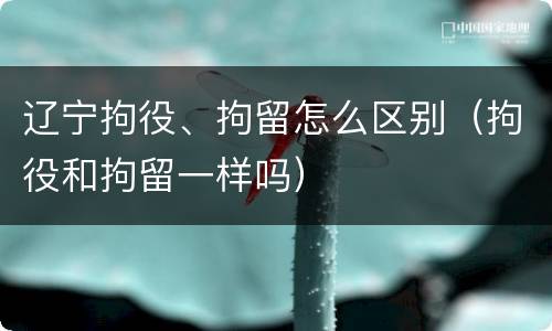 辽宁拘役、拘留怎么区别（拘役和拘留一样吗）