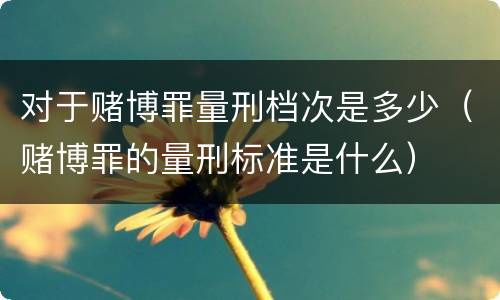 对于赌博罪量刑档次是多少（赌博罪的量刑标准是什么）