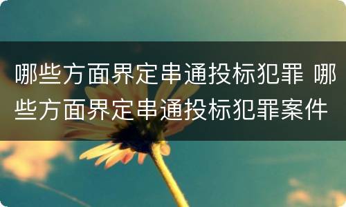 哪些方面界定串通投标犯罪 哪些方面界定串通投标犯罪案件